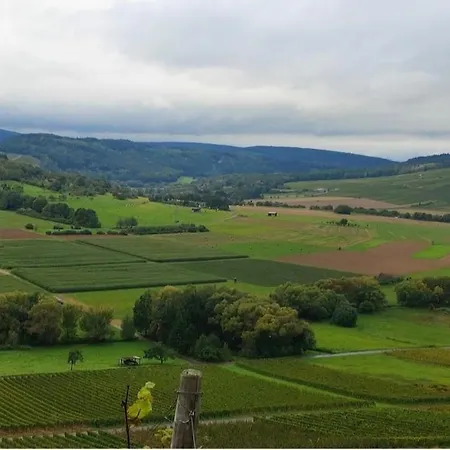 Oda ve Kahvaltı Orangerie Gehaichnishof 7born *