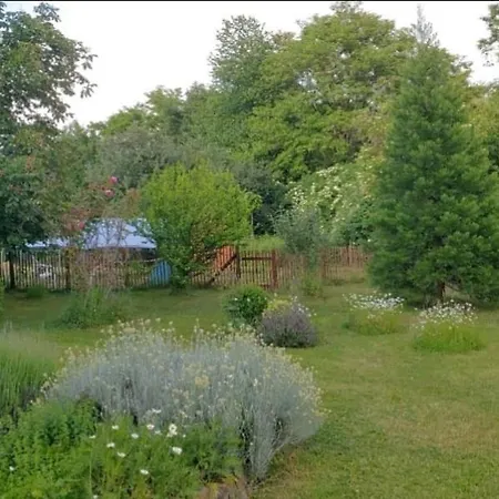 Bed & Breakfast Orangerie Gehaichnishof 7born Maring-Noviand