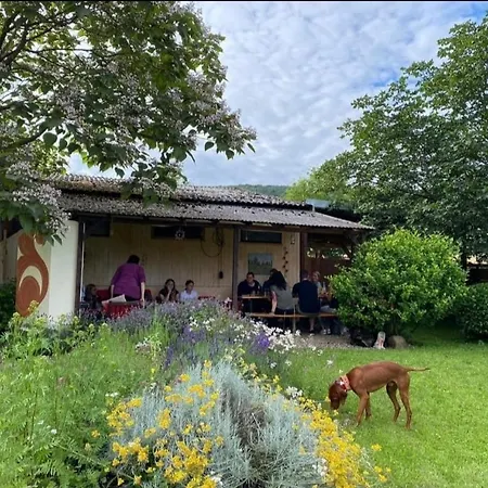 Orangerie Gehaichnishof 7born Maring-Noviand