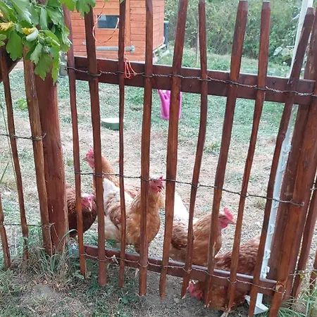 Orangerie Gehaichnishof 7born Oda ve Kahvaltı Maring-Noviand