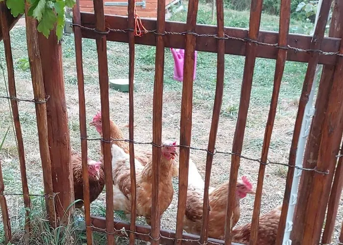 Orangerie Gehaichnishof 7born לינה וארוחת בוקר Maring-Noviand